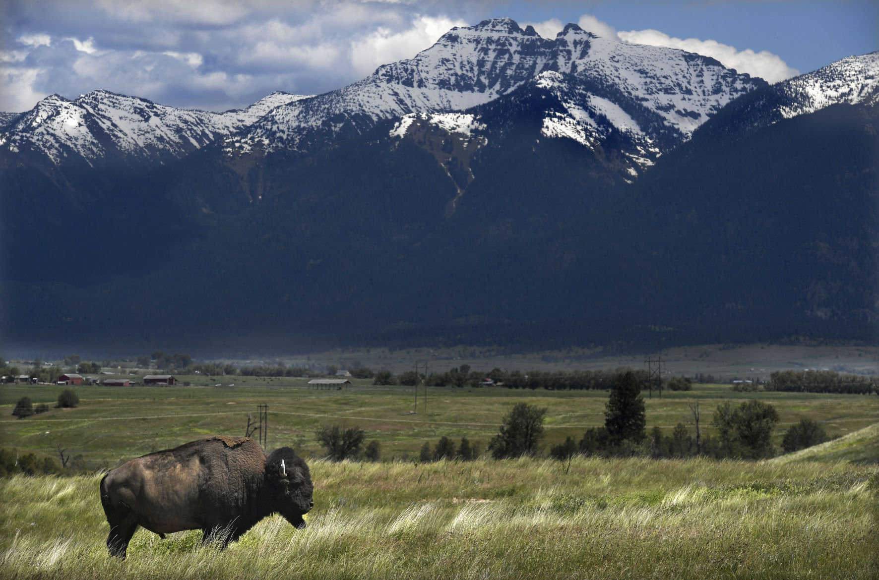 National Bison Range